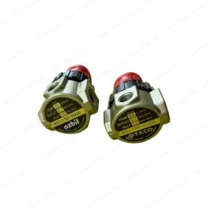 AZBIL R31-100-0000