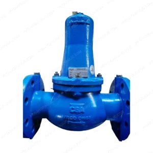 CSA VRCD DN65 PN40