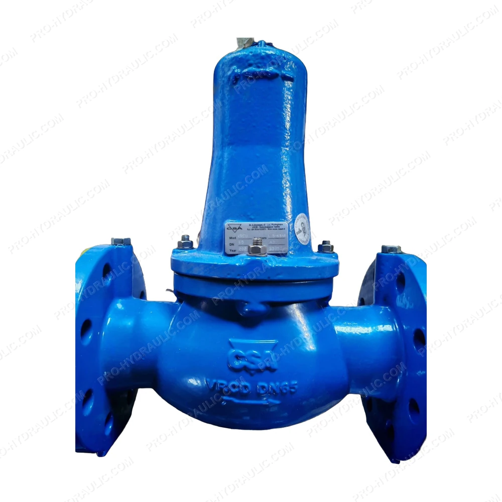 CSA VRCD DN65 PN40