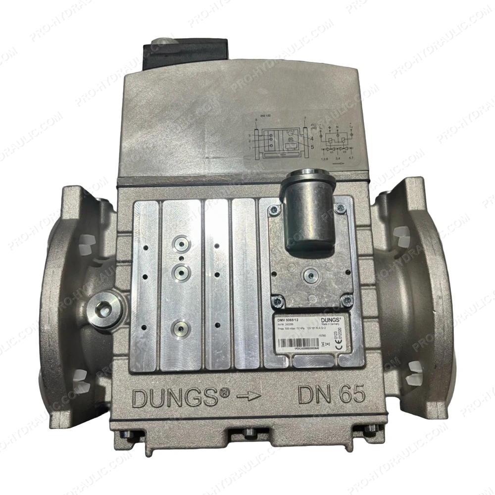 DUNGS DMV 5065/12