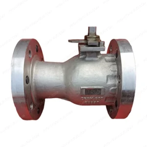 FLOWSERVE F52-6666PT300300P226